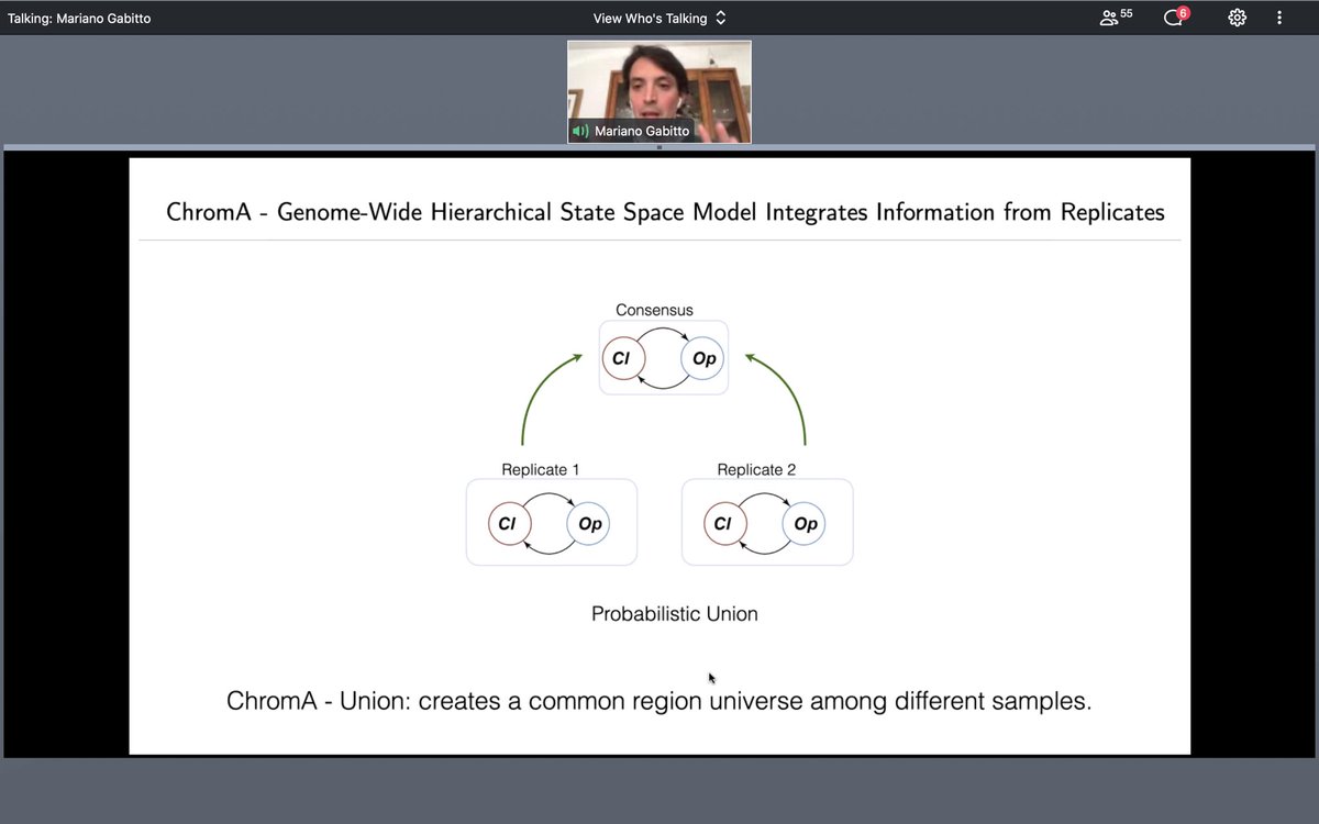 CompHealthMuc's tweet photo. Ever been frustrated by the sparsity of your scATAC-seq data? Our #ICBLunchtimeSeminar featured Mariano Gabitto @MGabitto, Flatiron Institute, showing us how he obtains robust units of open chromatin data using statistical modeling and prior knowledge nucleosome size in ChromA! https://t.co/Dkwhzl8UKI