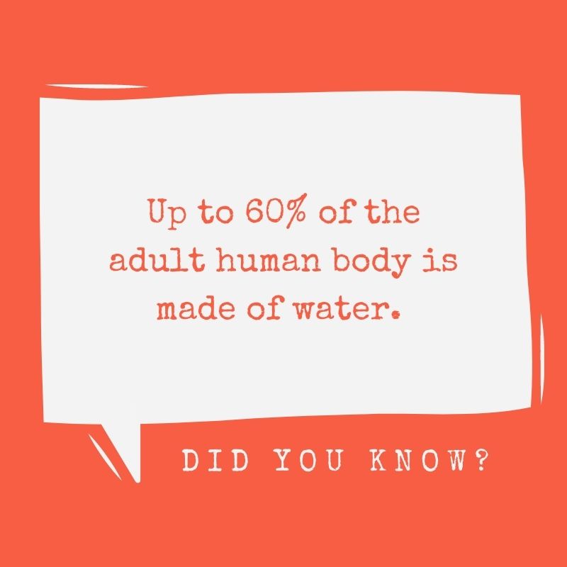 cicwcd's tweet photo. Want to learn more about the water inside of you? Check out the link below: 
https://t.co/z5Kt9PRwVG

#waterwise #slowtheflow #water #h2o #science #cicwcd https://t.co/9XH6HdyN5V