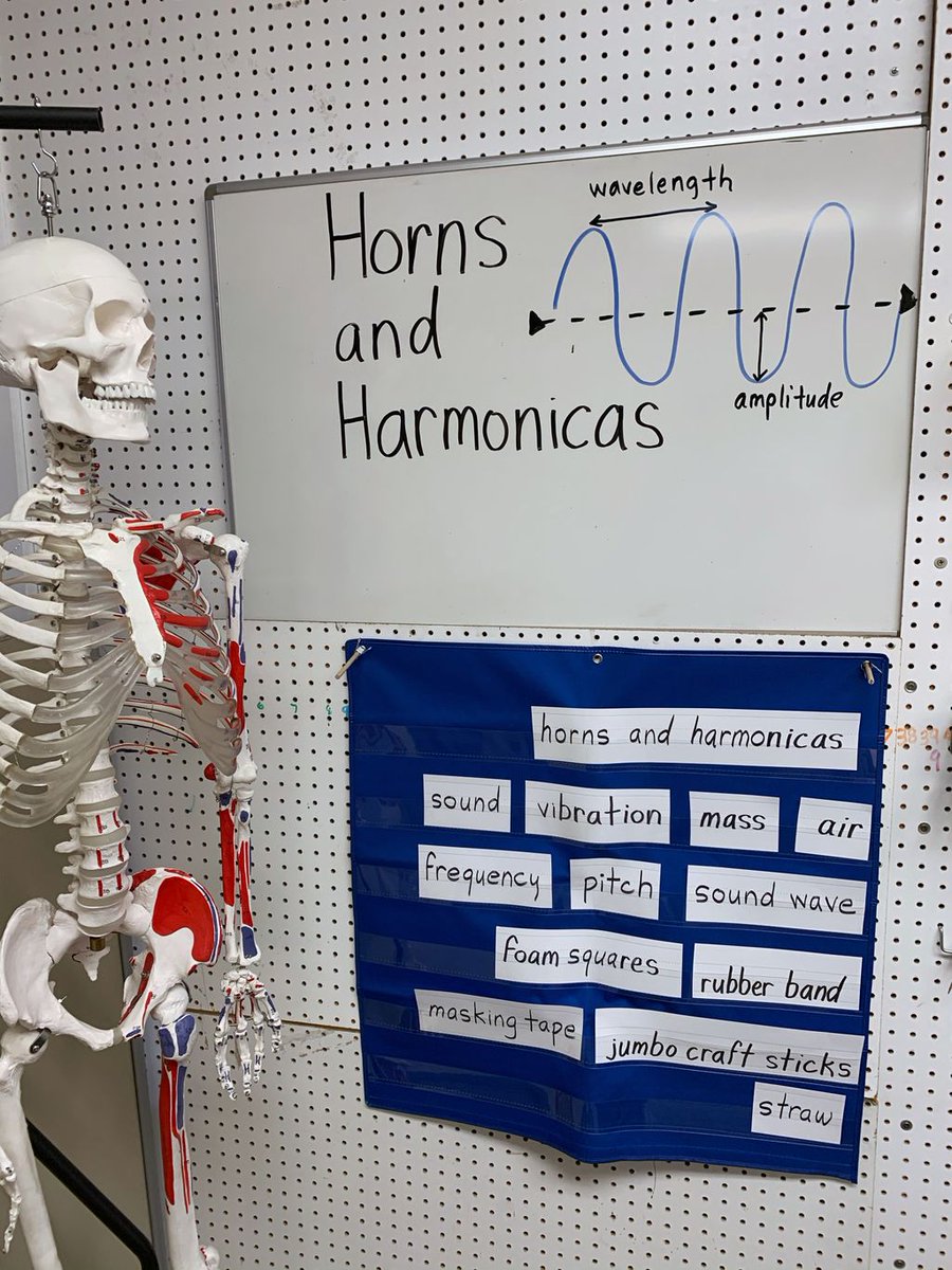 CSWNet's tweet image. Mr. Bones is thrilled about building Horns &amp;amp; Harmonicas and studying sound with the students at #WilsonElementary this week!

#CSW #CSWN #virtualCSW #communityscienceworkshop #STEMlearning #STEMathome #STEMprojects
