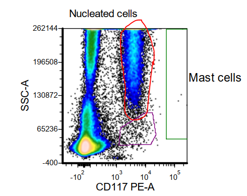(2/8) However, on CD117 and SSC, a large CD117 + population is detected (red circle) #hemepath  #PathTwitter
