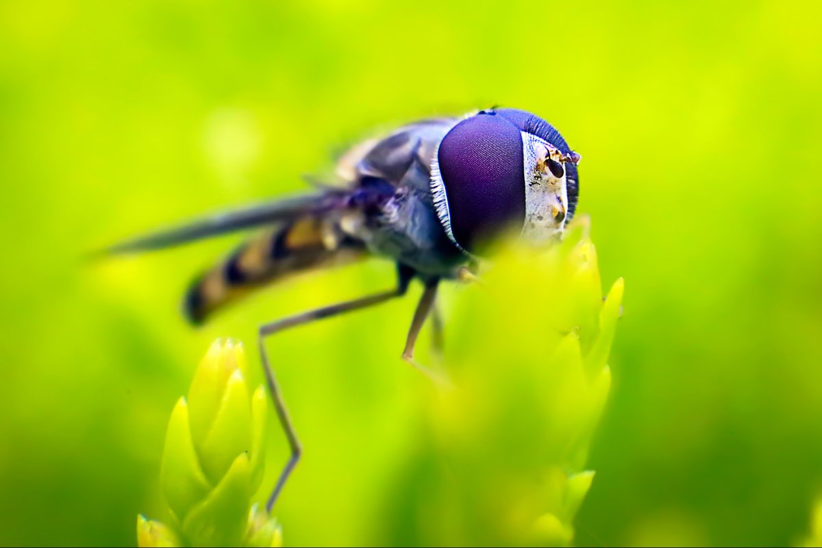 AGShot2's tweet image. 