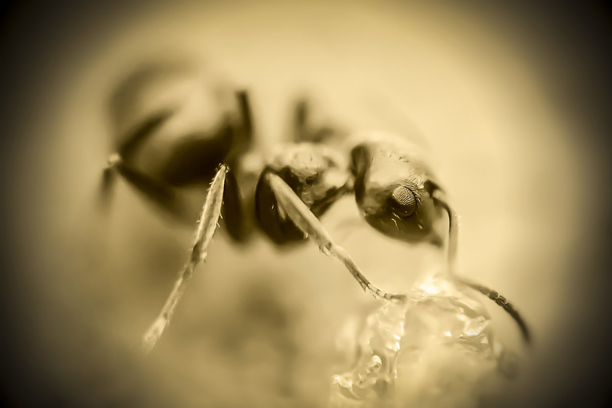 AGShot2's tweet image. 