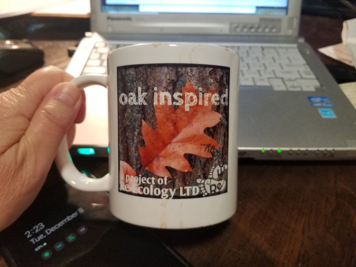 AlexiaLandArch's tweet photo. Hey Chicago Metro let's plant oak habitat gardens ... check out our new project at Re-Ecology LTD. Making it easy to have #homegrownhabitat ! Get #oakinspired and start your own #homegrownnationalpark . https://t.co/N5xrcV2Pm6