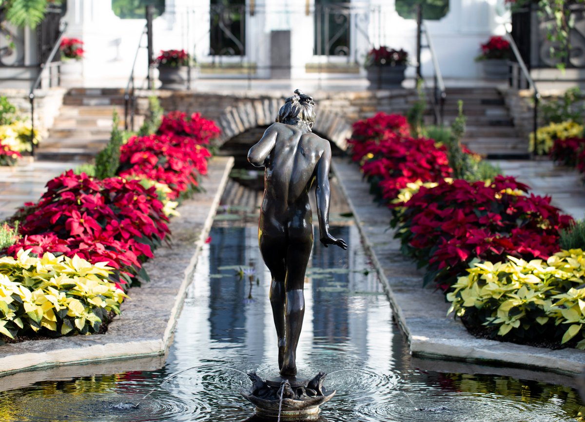 ComoFriends's tweet photo. The Holiday Flower Show at the Marjorie McNeely Conservatory has been a tradition since 1925. It is always a showstopper, and this year features Cortez Burgundy and Golden Glo Poinsettias. Follow Como Live videos posted daily by @ComoZoo for a virtual tour:https://t.co/kIjNozzLrE https://t.co/cmWaqt6tTe