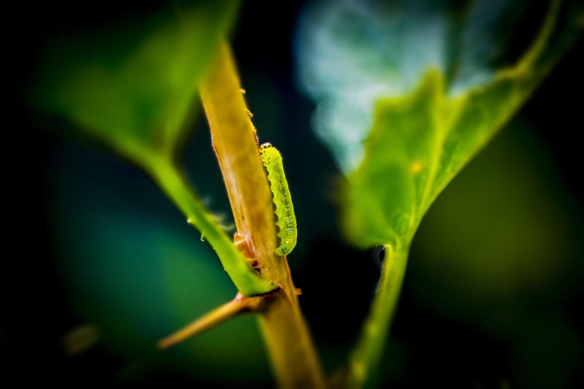 AGShot2's tweet image. 