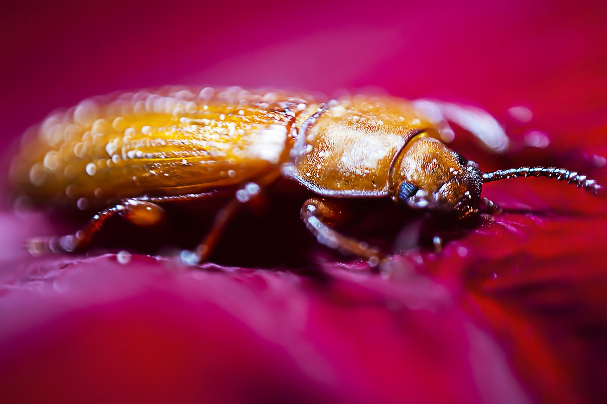 AGShot2's tweet image. 