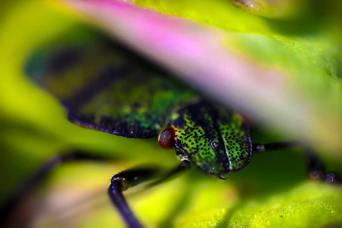 AGShot2's tweet image. 