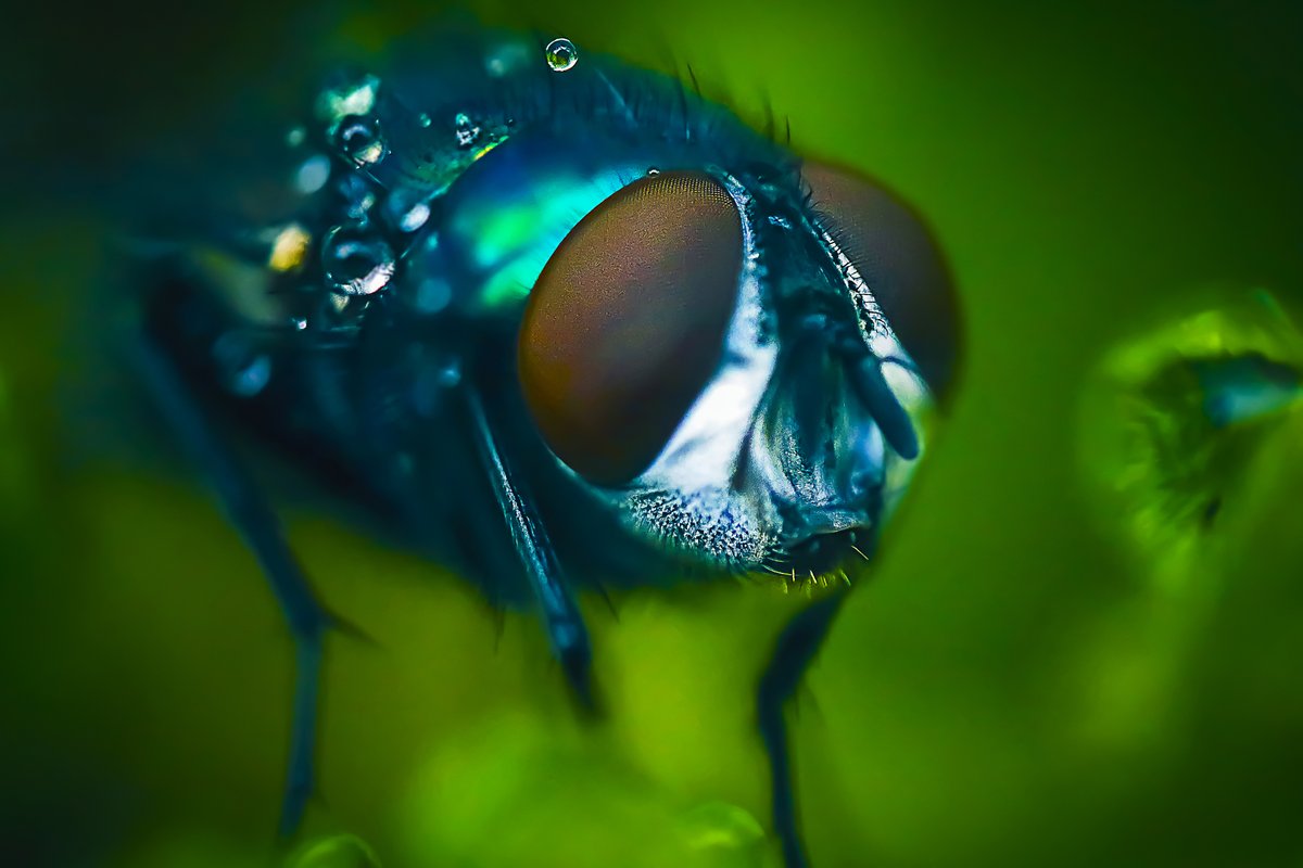 AGShot2's tweet image. 