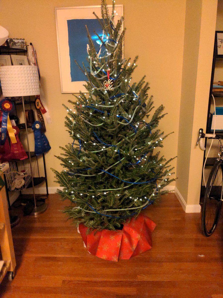 KGoogs10's tweet image. First real tree with @andSutter 🌲🎄💍