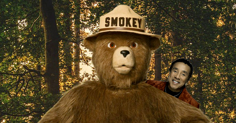 Smokey Bear tweet media
