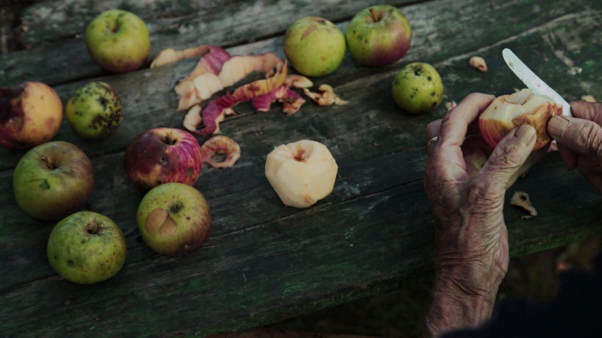 cinemaeyehonors's tweet photo. 2021 Cinema Eye Shorts List Film:

Then comes the evening

Director: Maja Novaković https://t.co/IwrCHROeRY
