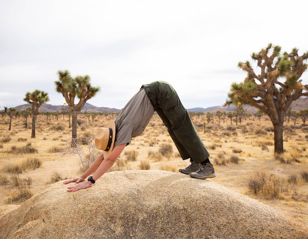 Downward Coyote pose: From the Desert tortoise pose make your way to your hands and knees. After your hands are shoulder-width apart you can stretch back and lift your knees off the ground. Peddle out your feet and let out a few deep breaths.