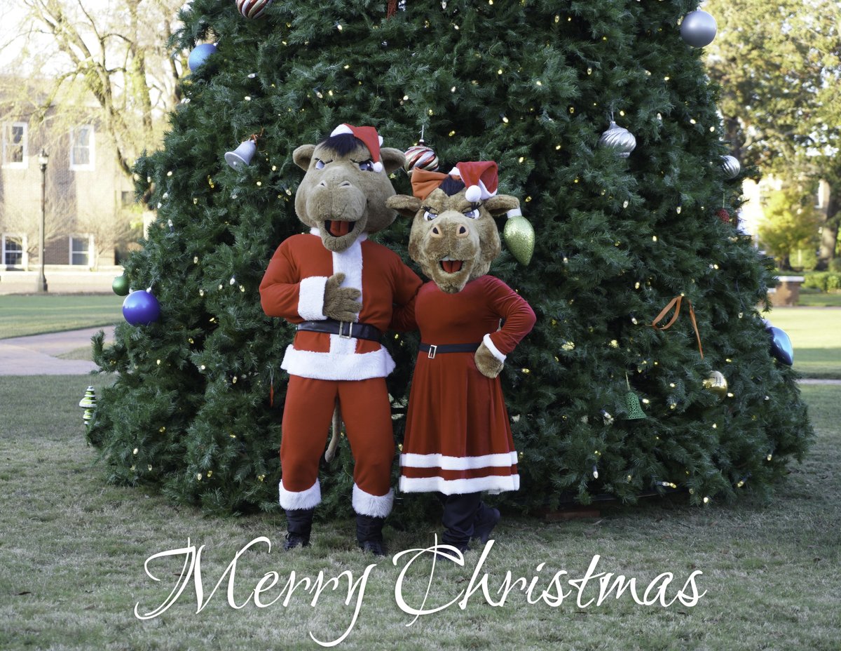 Merry Christmas to our Camel family! 🐪🎄

#RollHumps