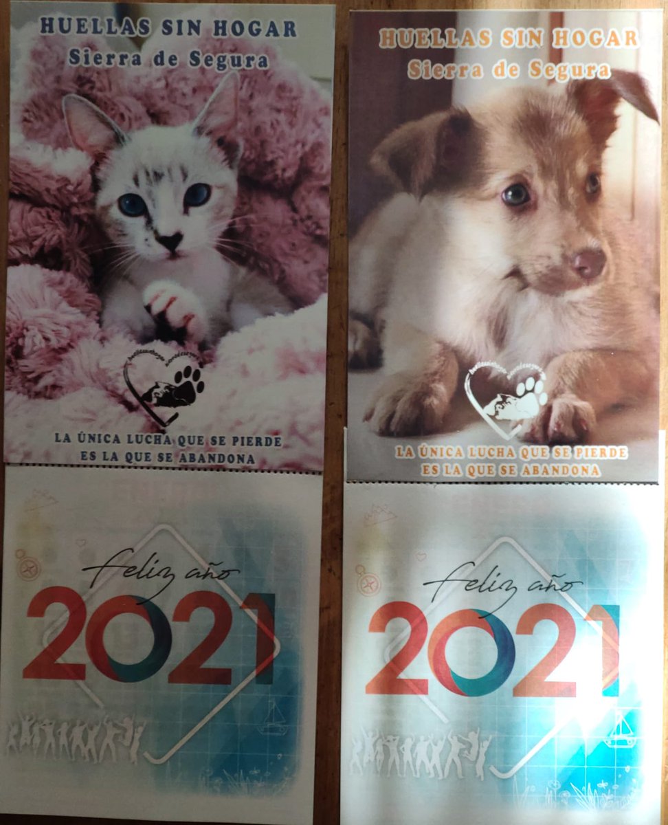 Me quedan solo 3 calendarios de gatitos, compradme y colaborar con la asociación  Huellas sin hogar Sierra de Segura 🥺🥺🥺🥺