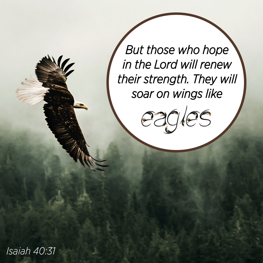 Where do you find your hope?
#922Ministries #hope #faith #inspiration