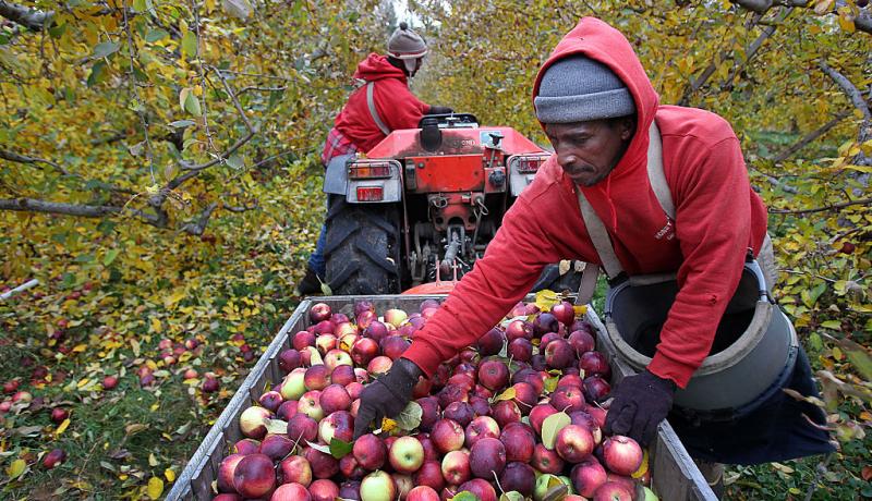 CH_Environment's tweet photo. Transforming food systems is crucial to meeting climate goals. But how can we move food up the political agenda?
Join our event on 14 Dec to hear from @AmirMAbdulla, @TamsinCCooper, @CorliPretorius, @HHarwatt and Dr Michael Clark.
Register now: https://t.co/9abm1KkDtg https://t.co/HCdYLijltM