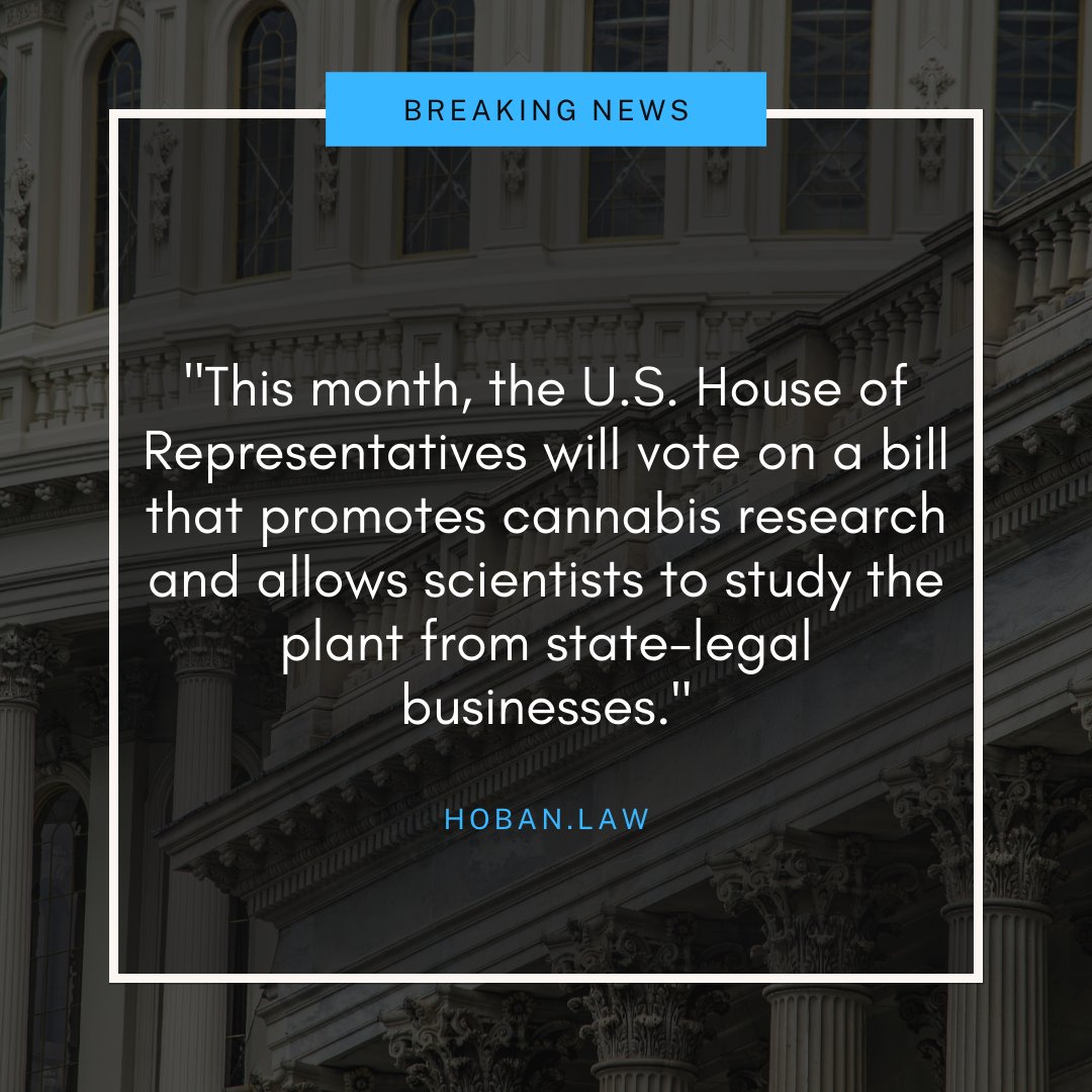 Research of the plant has long been one of the biggest obstacles to the growth of the cannabis industry. Given the positive reform measures at the domestic and international level over the last month, we are keeping our fingers crossed. #cannabis #cannabisresearch #cannabisreform