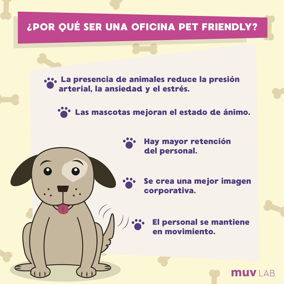 Muv Lab tweet media