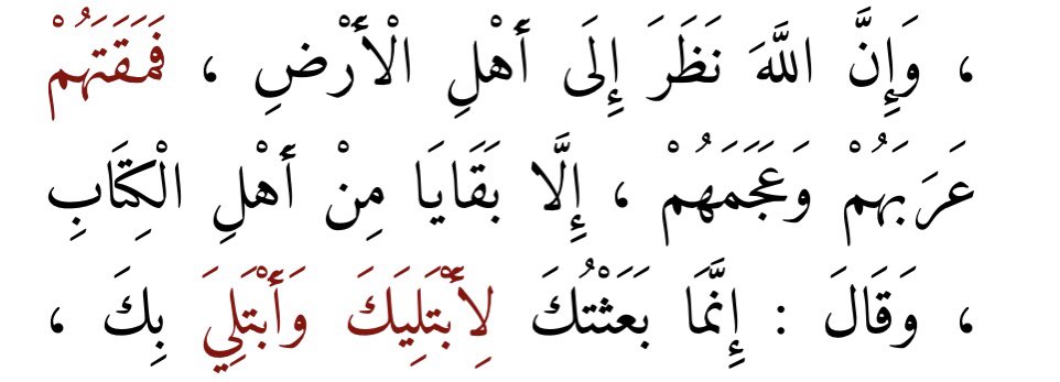 Brother Rachid الأخ رشيد On Twitter لماذا جاء محمد يحكي لنا محمد السبب أن الله نظر إلى الأرض فأبغض أهل الأرض جميعا إلا قلة قليلة جدا من أهل الكتاب بناء على هذا