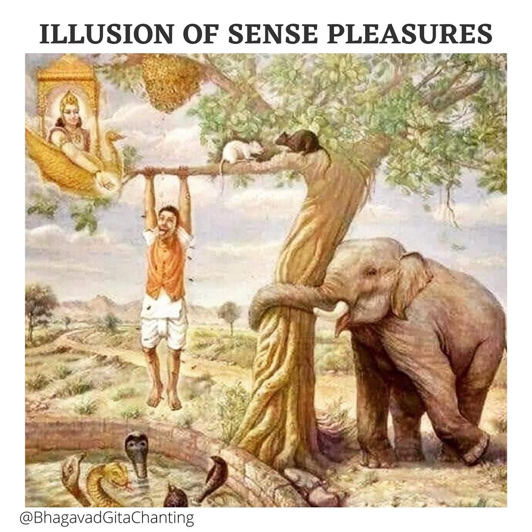 1. Elephant represents past[Sanchita] karma2. Snake represents Future[Kriyamana] karmaRemember karma meaning "doing"; your past and present all exist in this moment (Here and Now). 3. Tree branch is present life