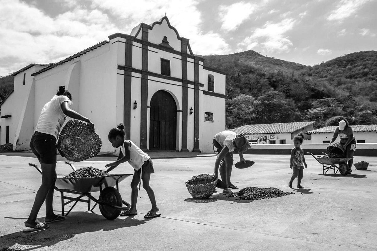 fokusmediapro's tweet photo. 📍Chuao, Edo. Aragua. 

En este viaje tuvimos la oportunidad de documentar un pedacito de su gente, de sus vidas y de su cotidianidad.

El cultivo del cacao es parte de su cultura y el secado de las semillas es una tarea exclusiva de mujeres. 

#documentaryphotography https://t.co/IrY2EjdELk