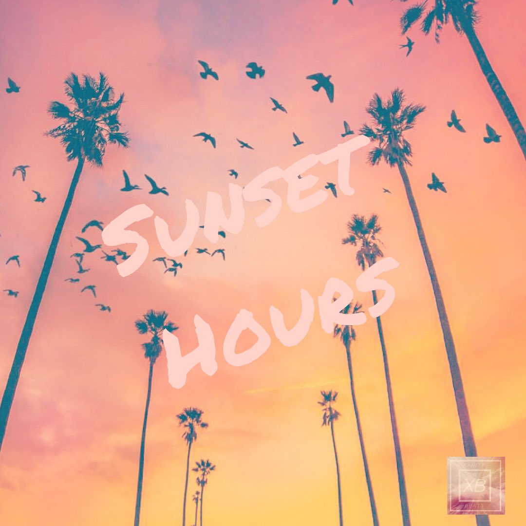 XanityMusic's tweet image. My New Single “Sunset Hours” comes out 1/7! Pre-Save it with the link in my bio. ☝🏽🤙🏽🍃