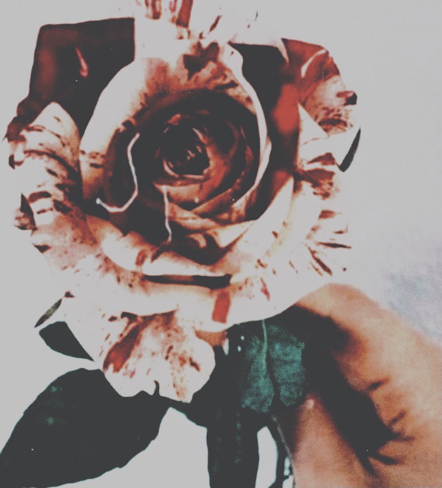 sanguine_maiden's tweet photo. 𝘉𝘦𝘸𝘢𝘳𝘦 𝘰𝘧 𝘵𝘩𝘦 𝘥𝘶𝘴𝘬 𝘧𝘰𝘳 𝘴𝘩𝘦 𝘪𝘴 𝘯𝘰𝘵 𝘬𝘪𝘯𝘥.

               ꧁ • 𝙀𝙇𝙄𝙕𝘼 • ꧂

             #TekkenRP | #MVRP https://t.co/U9CdWlrL8h