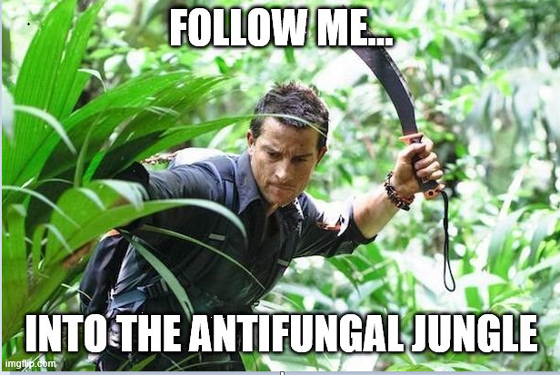 (2/12) While each present unique issues  Fluconazole resistant fungal urinary tract infections (UTI) are particularly challenging. The rationale will require an adventure into antifungal PK…