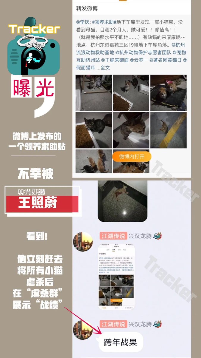 Xhnsoc__Redflag's tweet photo. 12月9日消息 据网友爆料,浙江警察学院教师王照蔚,以“兴汉龙腾”的网名,在不同QQ群内传播自己虐杀小动物的视频,并交流讨论相关经验。
据网友提供的照片显示,虐杀手段包括用开水烫、活剖、把狗先放进洗衣机再用微波炉烤…
王照蔚表示,自己上半年已虐杀了300只动物,并计划下半年再杀一百只。 https://t.co/aZuFEy3Jn2