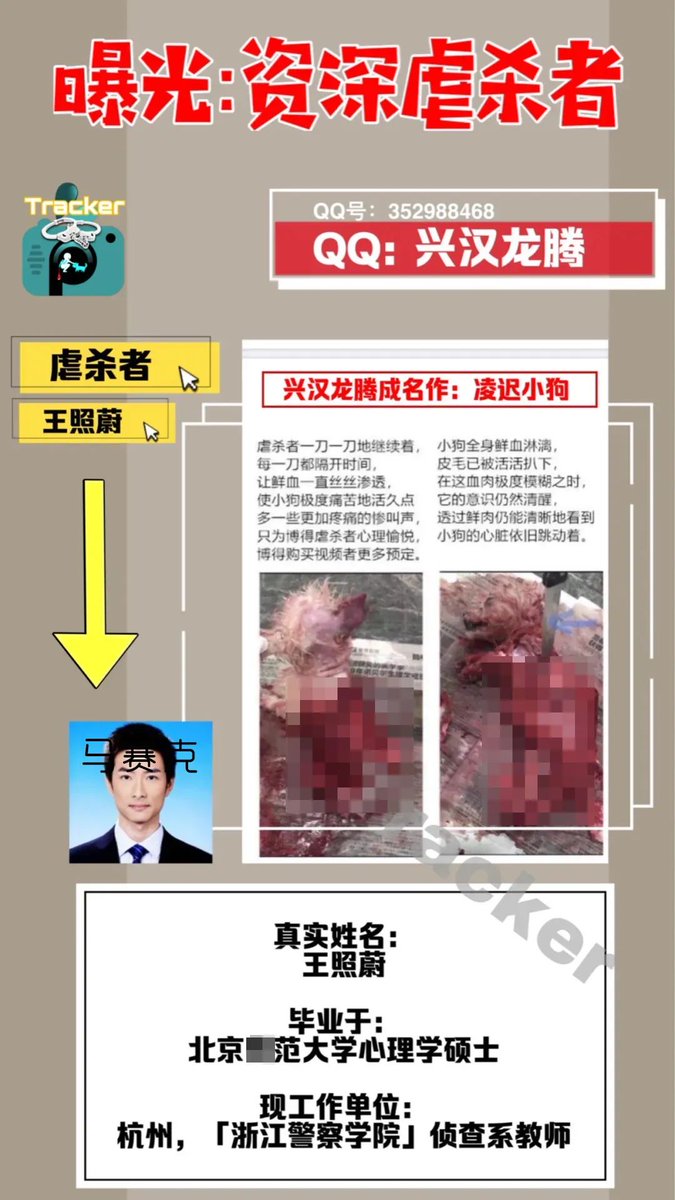Xhnsoc__Redflag's tweet photo. 12月9日消息 据网友爆料,浙江警察学院教师王照蔚,以“兴汉龙腾”的网名,在不同QQ群内传播自己虐杀小动物的视频,并交流讨论相关经验。
据网友提供的照片显示,虐杀手段包括用开水烫、活剖、把狗先放进洗衣机再用微波炉烤…
王照蔚表示,自己上半年已虐杀了300只动物,并计划下半年再杀一百只。 https://t.co/aZuFEy3Jn2