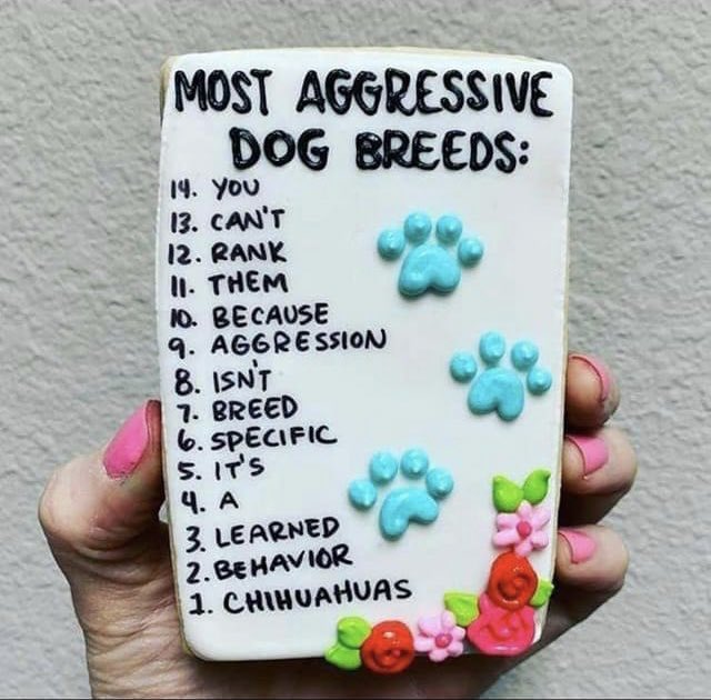 People: “No dog breed is genetically “more aggressive” than another! It’s all based on how the owner raises them!”Same people: 