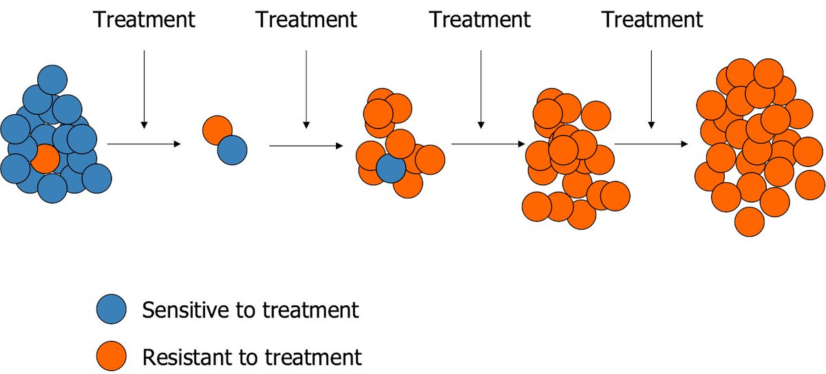 For those new to adaptive therapy: We have a drug that kills cells sensitive to it and we use it at constant high doses to attempt a cure. In metastatic disease we never cure. Why? You know how Lysol kills only 99.99% of germs? Yeah... Same idea. 3/18