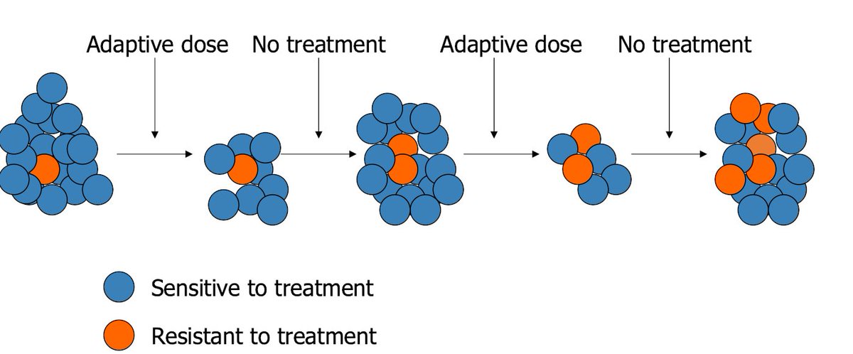 The adaptive therapy trial took patients with mCRPC and treated them with Abiraterone until the tumor burden cut in half. Then we stopped treatment and let the tumor grow back. Scary thought. BUT. When the tumor gets as big as it was when you came in we hit it again.5/18