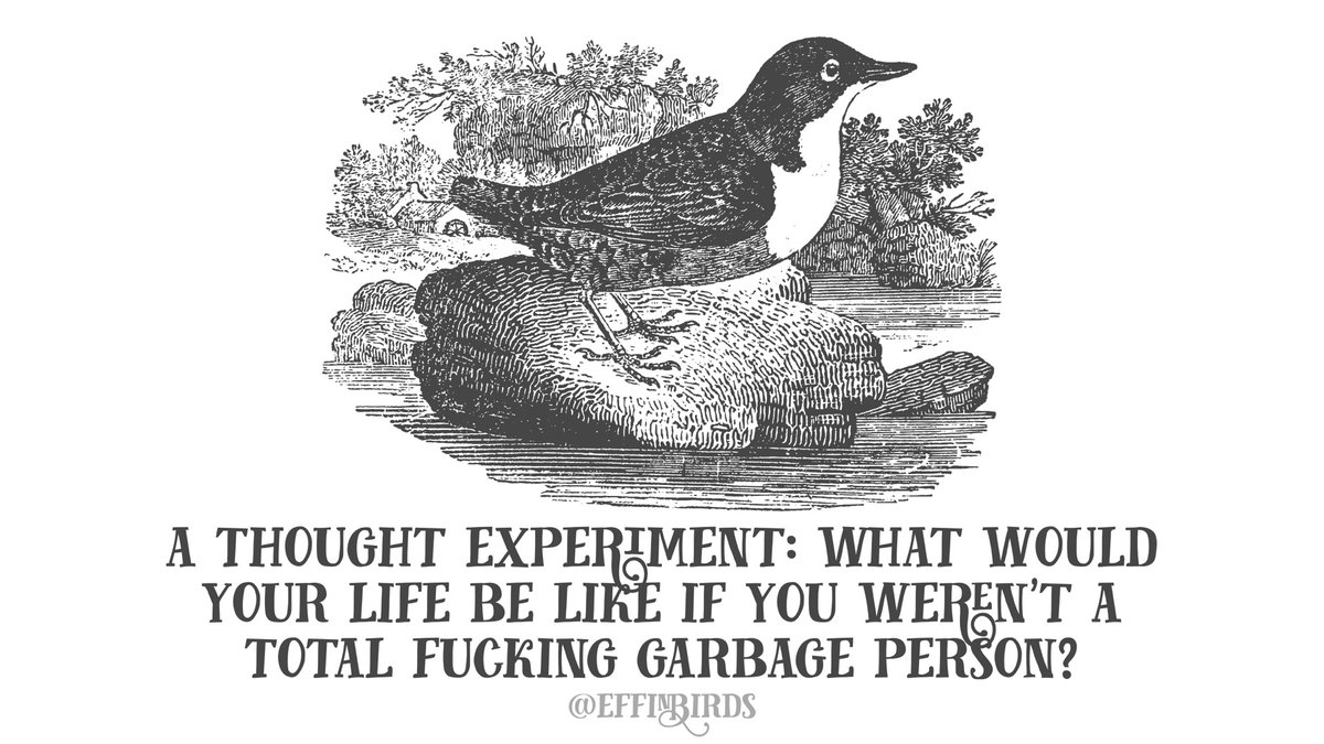 A  @TeeChipOfficial update: their lawyer says they won’t stop posting campaigns with stolen Effin’ Birds art, because they don’t have to. They say it’s on me to monitor their site daily and report when they are stealing my work.They also say they can’t find my DMCA submissions.