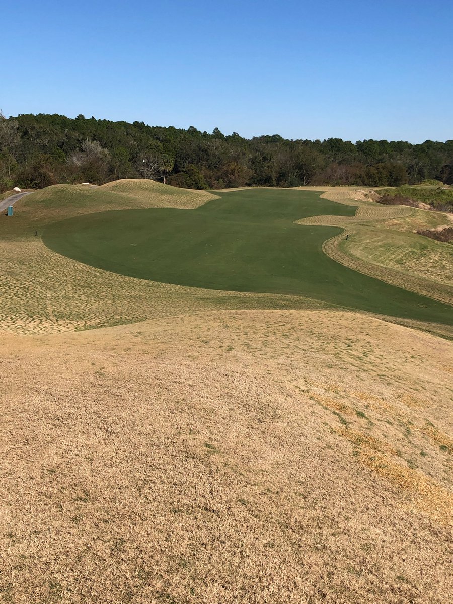 Michael Rowe tweet media