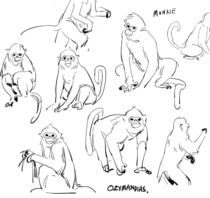 im so serious about mary/marisa im learning to draw her godamm monkie 