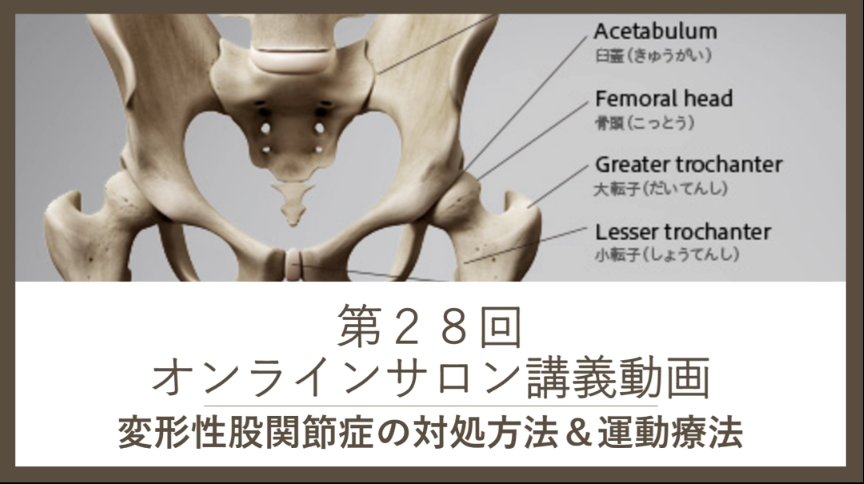 筋膜フリクション