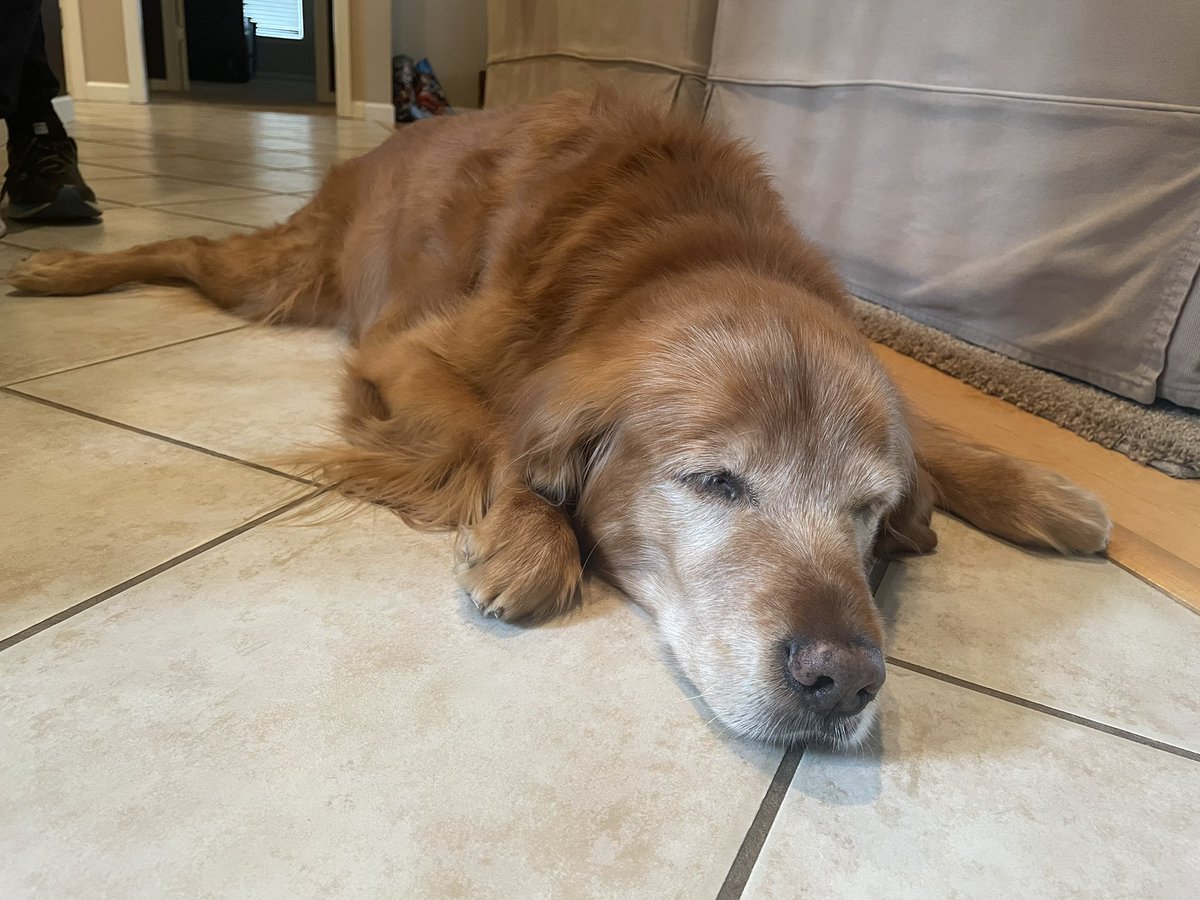 TourdeShadow's tweet image. A regular well visit to see Dr. Wolfe had me worn out. He said my prostate did not look too much worse than before. That is great news! I am going to keep kicking with my people for as long as I can. #vet #carride #Shadtastic #cancersucks #fighter