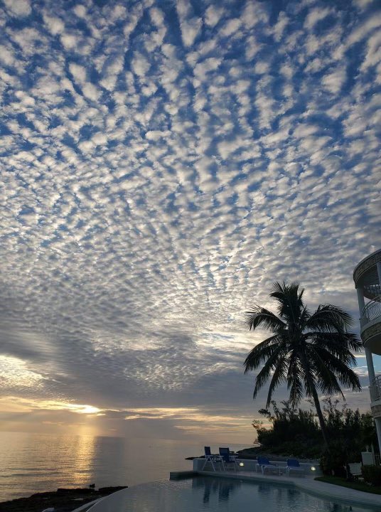 Endless Dreams Vacation Club Edvclub Twitter