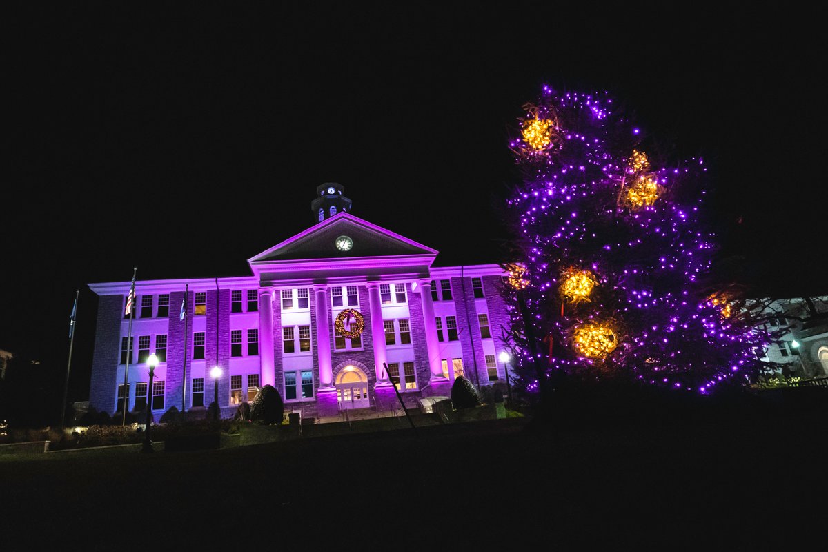 The Quad is looking exceptionally festive this week thanks to <a href="/jmu_sga/">JMU SGA</a>'s 37th Annual Quad Lighting!💡💜