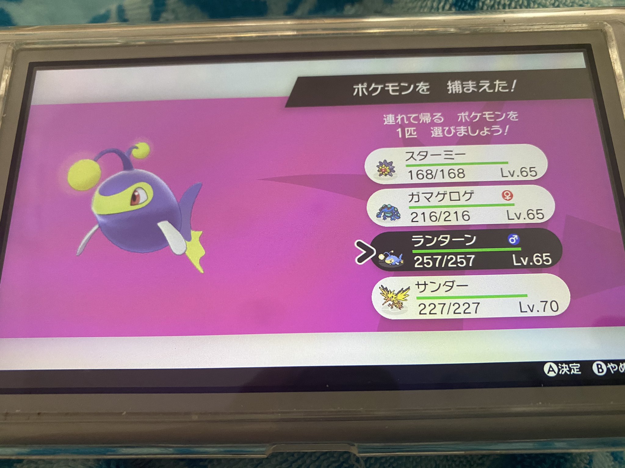 みっちぃtnアルタイル ポケ垢 朝イチダイアド1回目サンダー狙ってたら ランターン光りました ランターンの色違い分かりにくい ダイアド 色違いポケモン 色違い 色違いランターン T Co Oqbulip40l Twitter