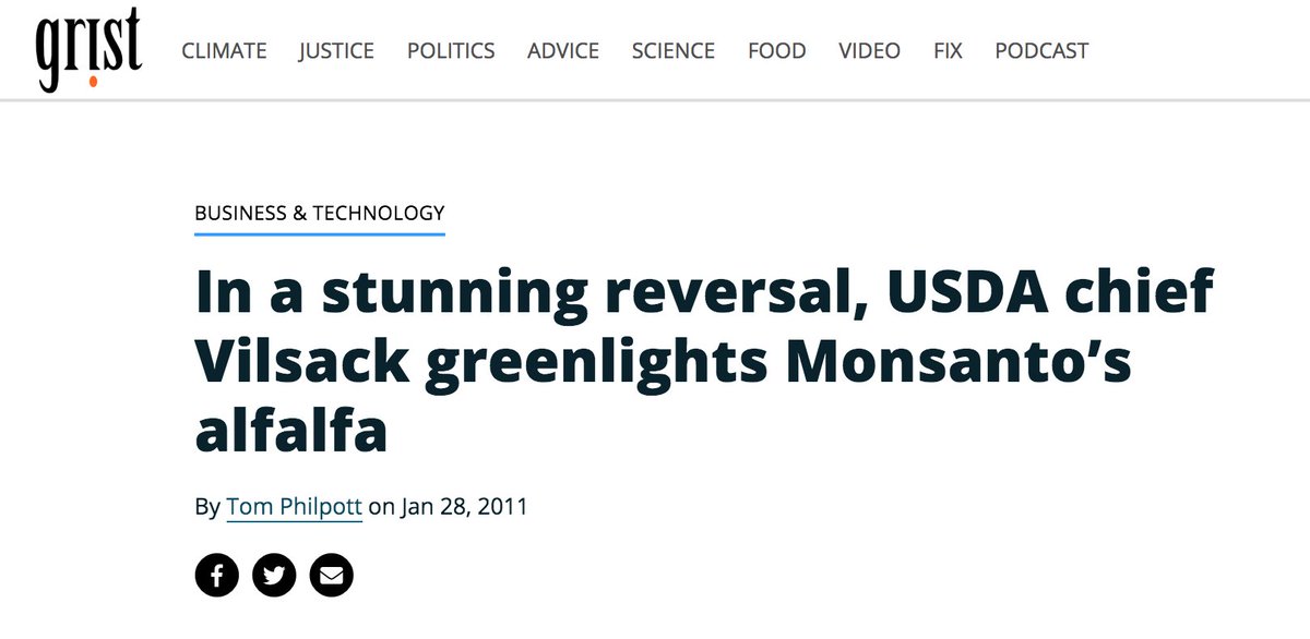 Tom Philpott ( @tomphilpott ) reported in 2011 on Vilsack's total cave-in to biotech genetically modified alfalfa from Monsanto was approved without any restrictions. https://grist.org/article/2011-01-27-in-stunning-reversal-usda-chief-vilsack-greenlights-monsantos-al/