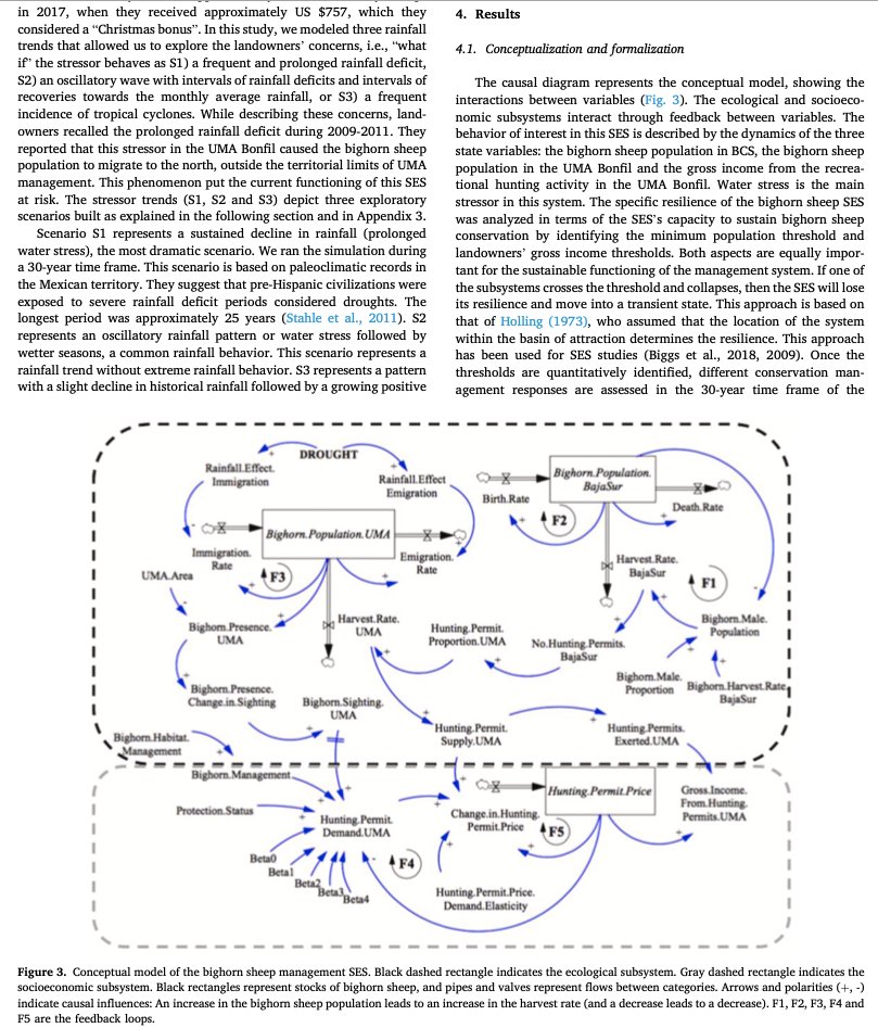 Hilda_Zam's tweet photo. Don't miss our recent published paper. We used the systems dynamics modeling approach to explore the resilience of a wildlife management system facing the challenges of climate change. Field work was developed in hard-to-reach communities in Mexico. https://t.co/rfdVrGcNtG https://t.co/qxo8LnGWtN