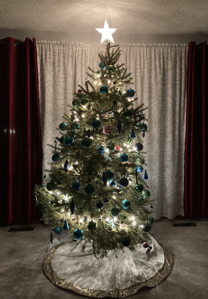 MikeAndBrenPro1's tweet photo. This years #ChristmasTree!  3 hour journey for this years pick!!  #roadtrip #PeacefulDrive #holidays https://t.co/ztBxXrWW08