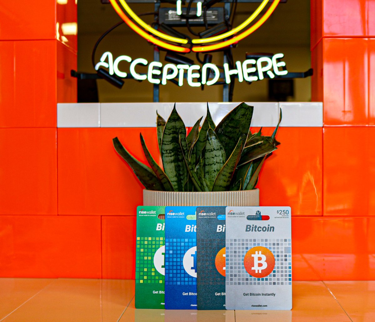 Rise Wallet (@RiseWallet) / Posts / X