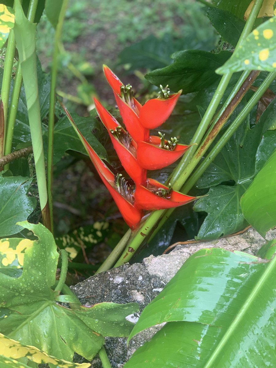 MarCarbajal7's tweet photo. @feturnacional @FETURQROO Me encanta la iniciativa @ianpootfranco creo que puede ser algo que ayude mucho a exponer ese orgullo que tenemos de ser mexicanos y de nuestro terruño! #DiaMexico 

#TurismoPrioridadNacional #TuristerosUnidos @ExpertosTurismo https://t.co/m9rR32Kypc