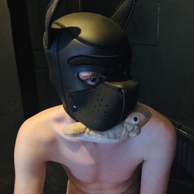 Wiccan_Pup's tweet photo. #NewProfilePic https://t.co/SXUerMLnWH