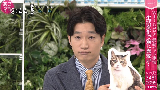 さおちゃん 目標は Nhkのど自慢 出場 さん の人気ツイート 1 Whotwi グラフィカルtwitter分析 さおちゃん 目標は Nhkのど自慢 出場 さん の人気ツイート 1 Whotwi グラフィカルtwitter分析