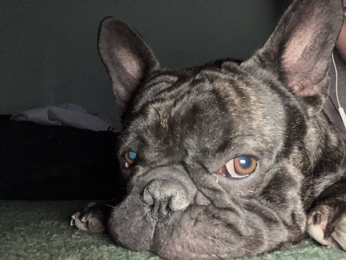 pik 𒉭 tweet media