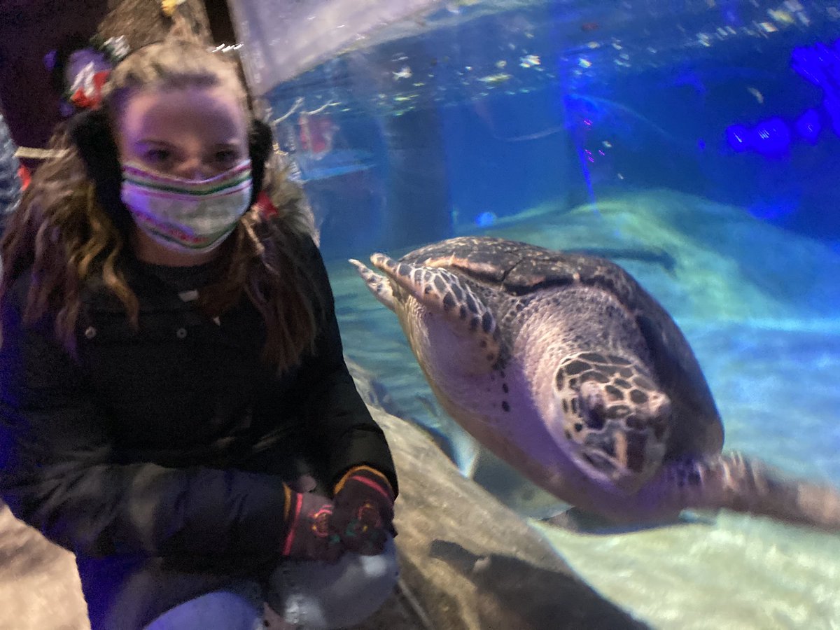 aesullivan05's tweet photo. Thanks for the smile Buddy!
@ColumbusZoo https://t.co/jhJdIueKO2